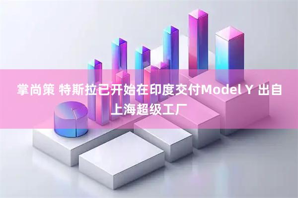 掌尚策 特斯拉已开始在印度交付Model Y 出自上海超级工厂
