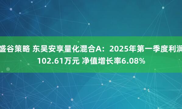 盛谷策略 东吴安享量化混合A：2025年第一季度利润102.61万元 净值增长率6.08%