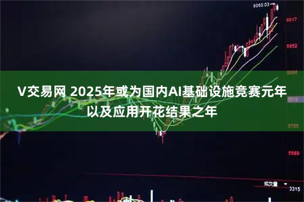 V交易网 2025年或为国内AI基础设施竞赛元年以及应用开花结果之年