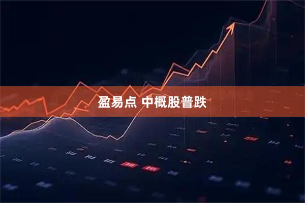 盈易点 中概股普跌