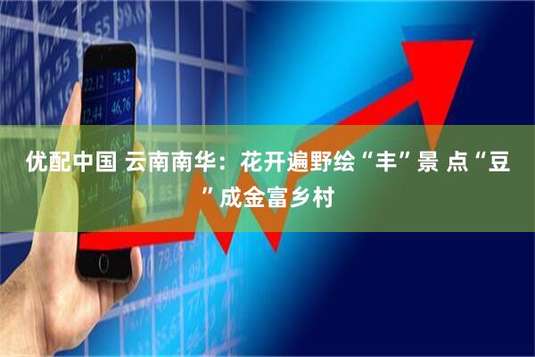 优配中国 云南南华：花开遍野绘“丰”景 点“豆”成金富乡村